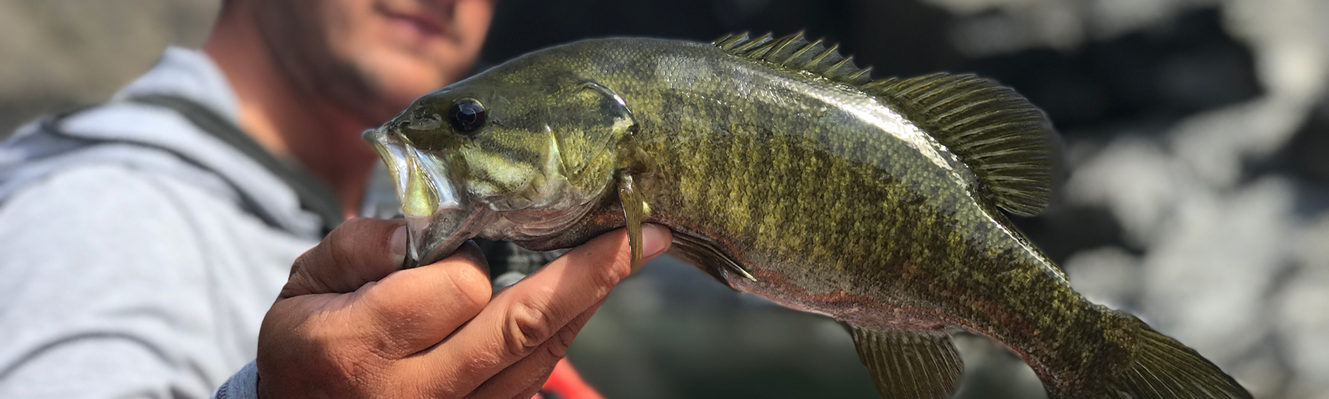 Idaho Steelhead Guides