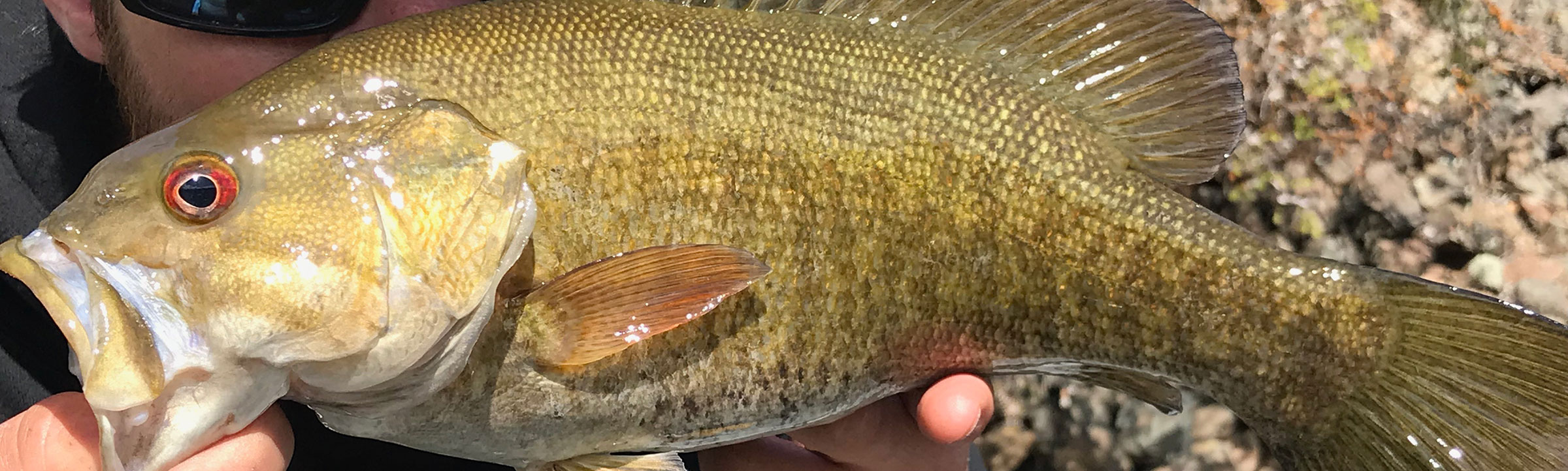 Idaho Steelhead Guides