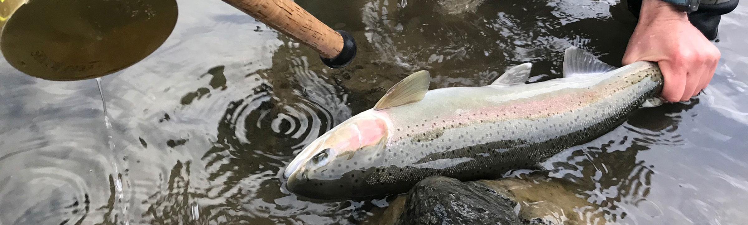 Idaho Steelhead Guides